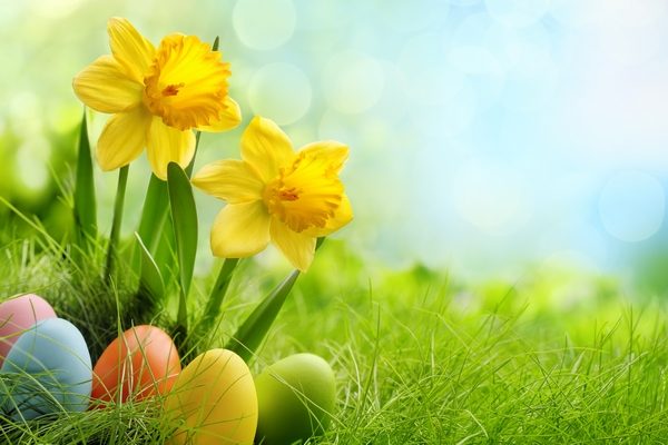 promotions de pâques chez les fleurons de lomagne
