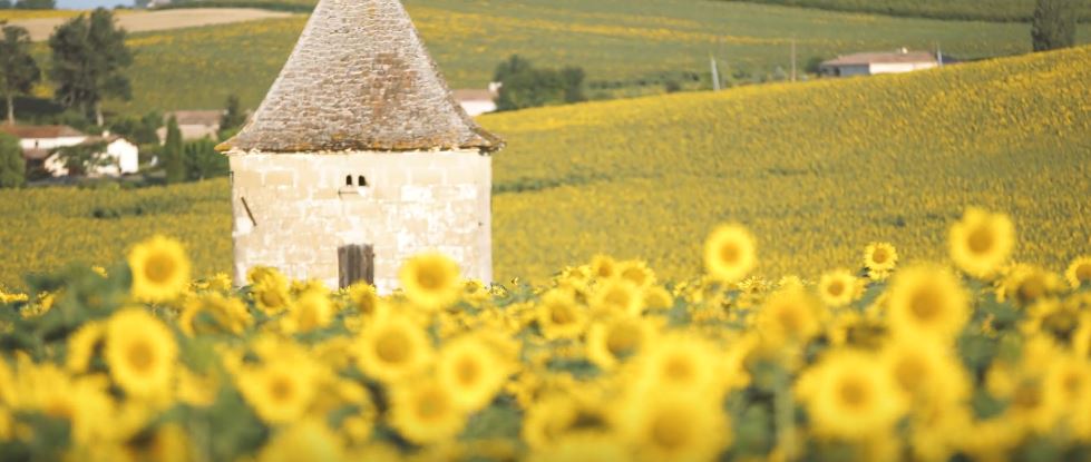 gastronomie du gers à lectoure