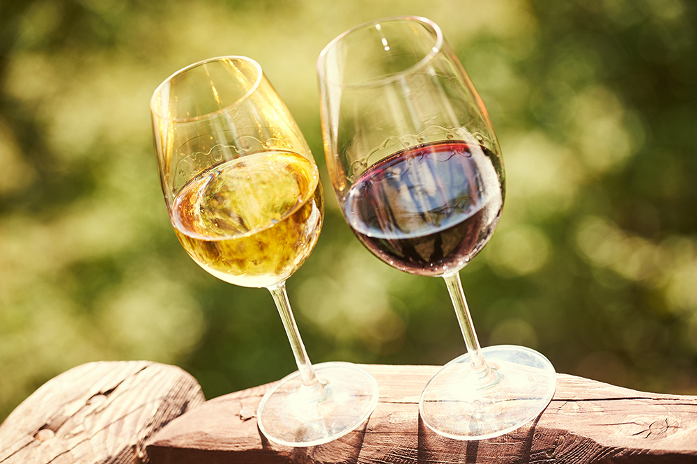 achter des vins du sud ouest en cubi
