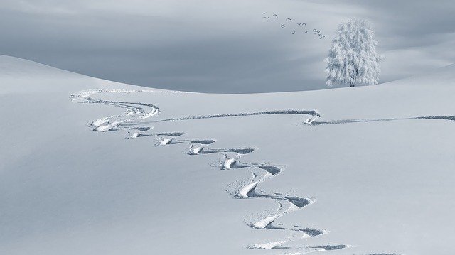 queles aliments pour les sports d'hiver